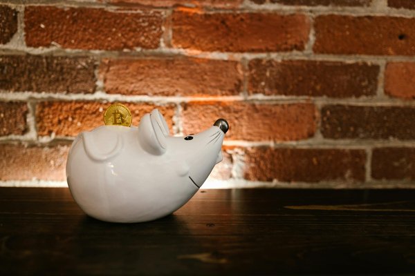 Hoe vind je een betrouwbare vastgoedmakelaar?